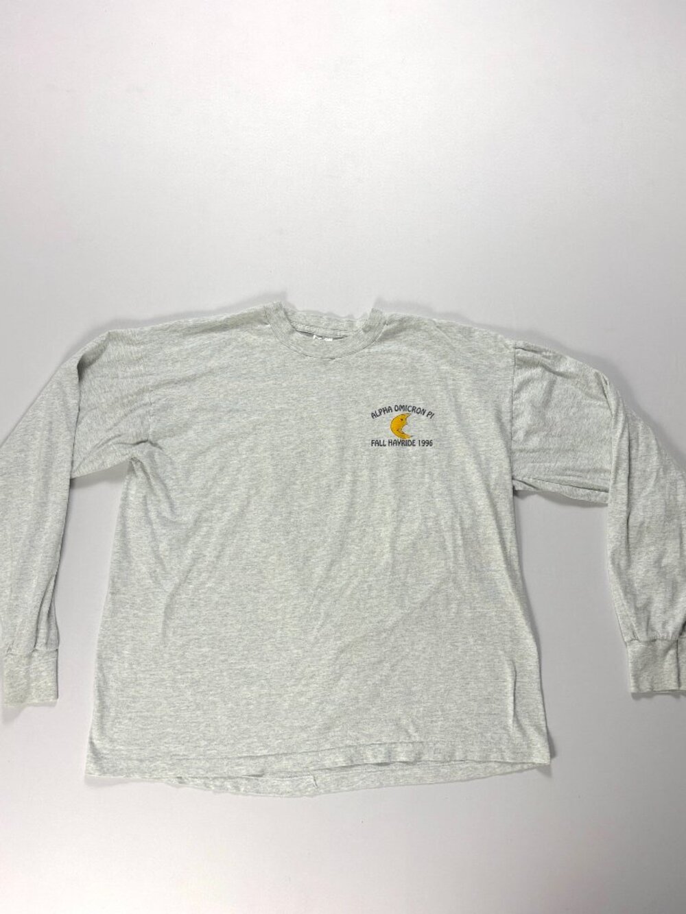 Vintage Alpha Omicron Pi Hay Ride 1996 Long Sleeve Shirt Gray Sz XL Fraternity